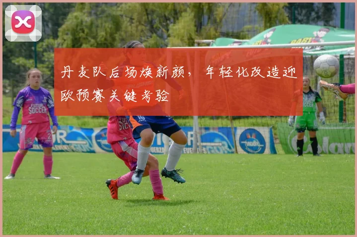 丹麦队后场焕新颜，年轻化改造迎欧预赛关键考验 - 虎扑体育推荐