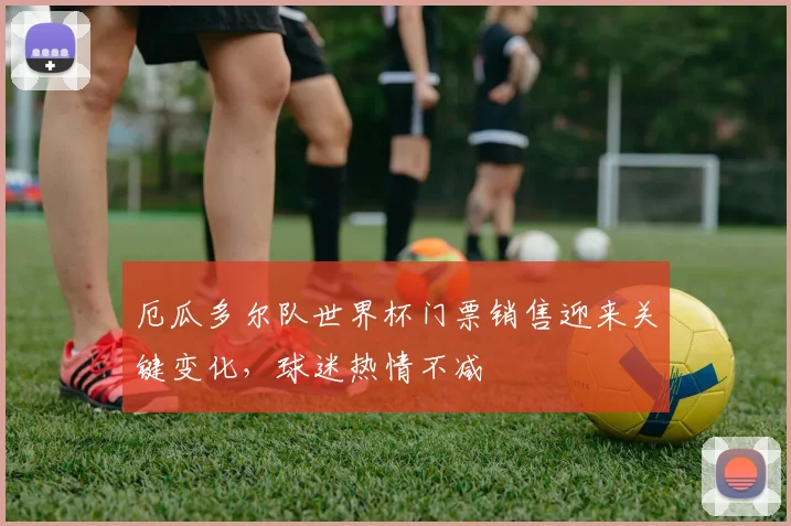 厄瓜多尔队世界杯门票销售迎来关键变化,球迷热情不减 - 虎扑体育推荐